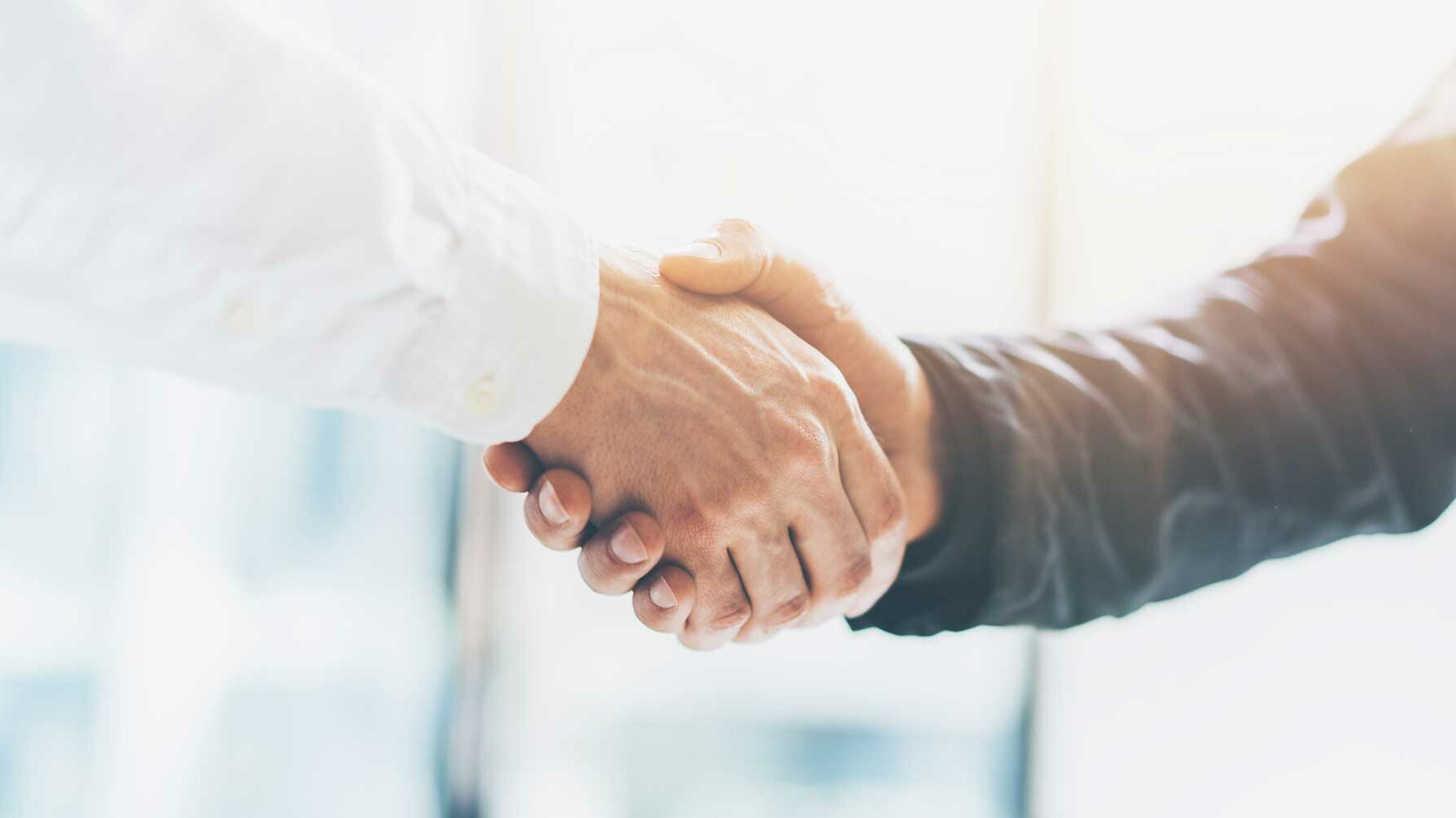 Close-up of two people shaking hands in bright sunlight